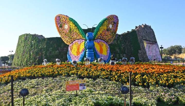 Gujarat: Ahmedabad Flower Show 2026 To Dazzle Sabarmati Riverfront