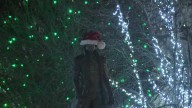 Jeffersonville community kicks off the holiday season at 'Light Up Jeff'