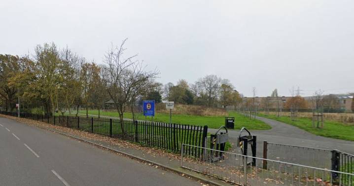 Thug with 'dirty face' attempted to rob man near Darlaston park
