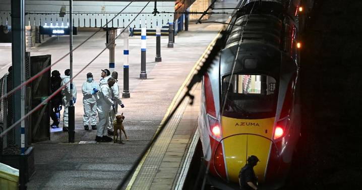 Mass train stabbing suspects' ethnicities revealed by police