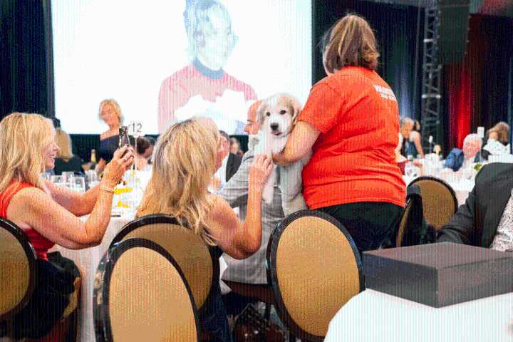 Operation Kindness Supporters Dance the Night Away at Canines, Cats, and Cabernet Gala at Sheraton Dallas