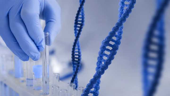 Un marcador genético permite anticipar el riesgo cardiovascular oculto y prevenir enfermedades del corazón