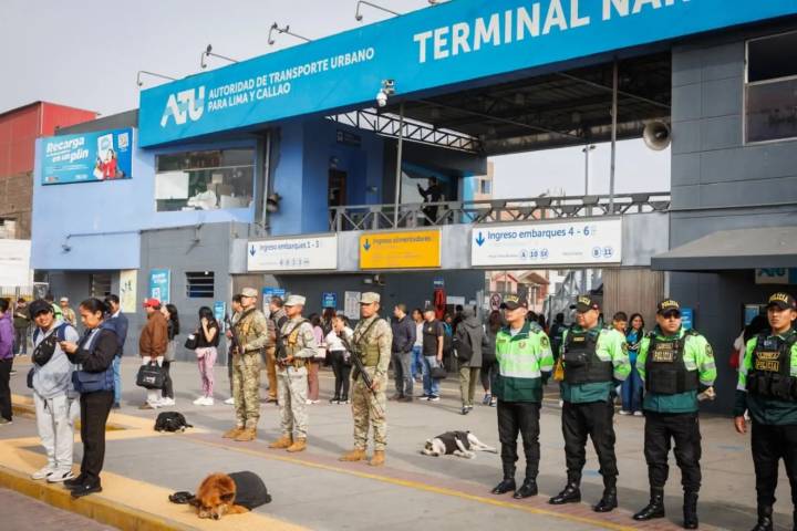 Estado de emergencia: estas son las nuevas medidas adoptadas en lucha contra criminalidad