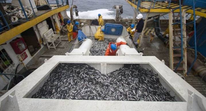 Aseguran de que pesca industrial es legal en Áreas Naturales Protegidas