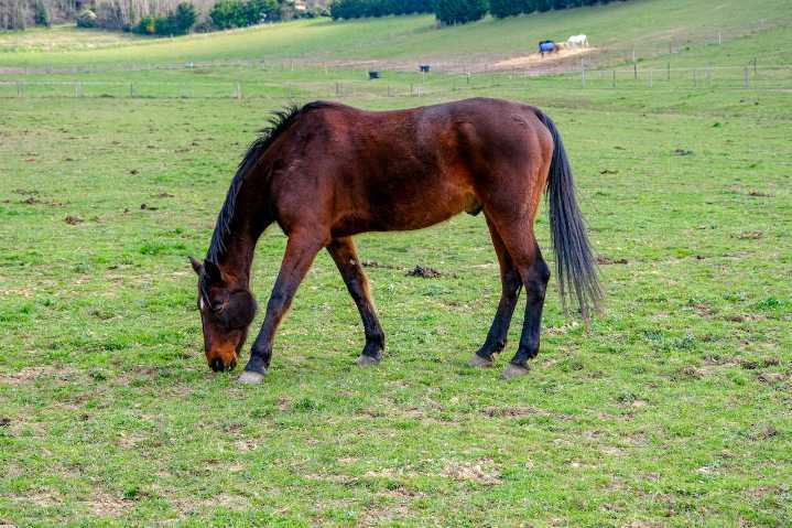 Hollywood dad shares update on daughter after scary accident