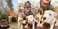 Puppy rescued from burning house in northeast Charlotte: See photos here