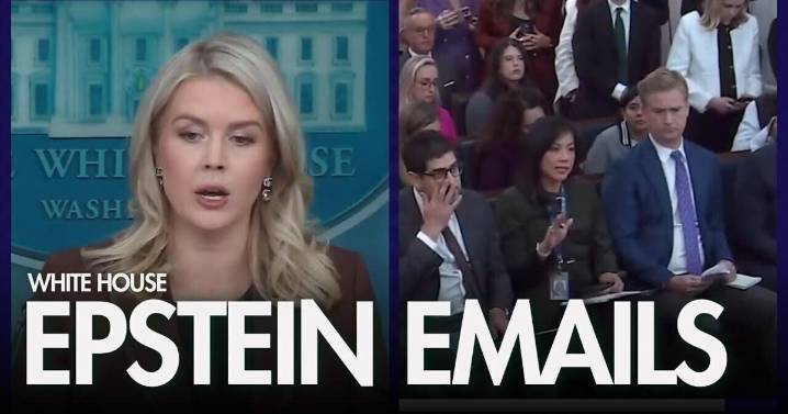 WATCH: Newly released Epstein emails discussing Trump ‘prove nothing,’ says Leavitt