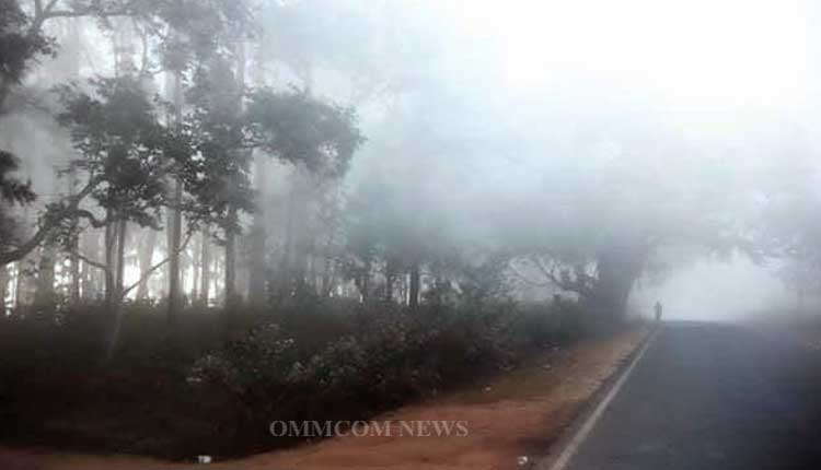 Koraput Records 16°C As Odisha Witnesses Drop In Night Temperature