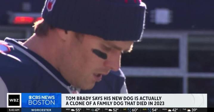 Tom Brady says he cloned his dog
