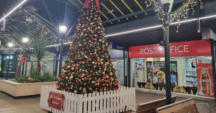 Christmas tree dream comes true for Kingswood community