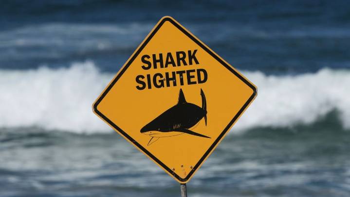 Shark attack in Australia leaves woman dead, man critically injured