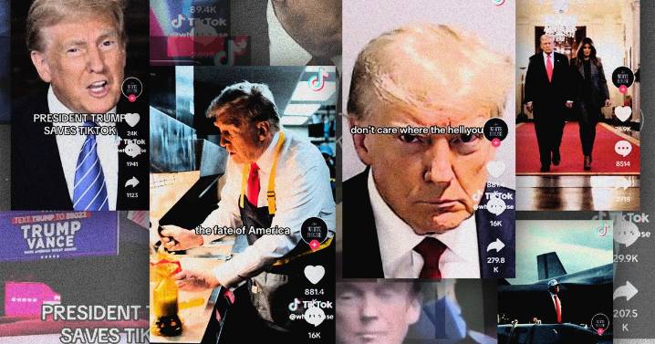 Trump TikTok Challenge: Watch the Worst White House Posts