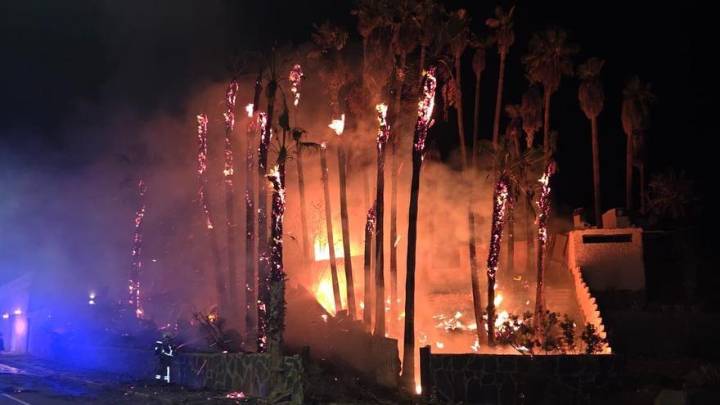 Incendio en un palmeral de Mogán