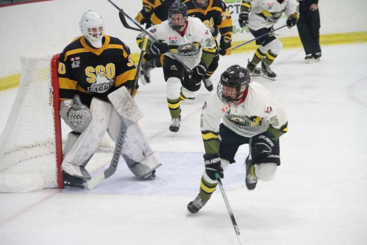 Voodoos' goaltender posts first NOJHL shutout | Grande Prairie Daily Herald Tribune