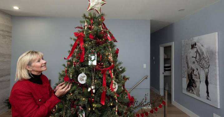 Holiday House Tour funds Mapleridge Recreation Centre