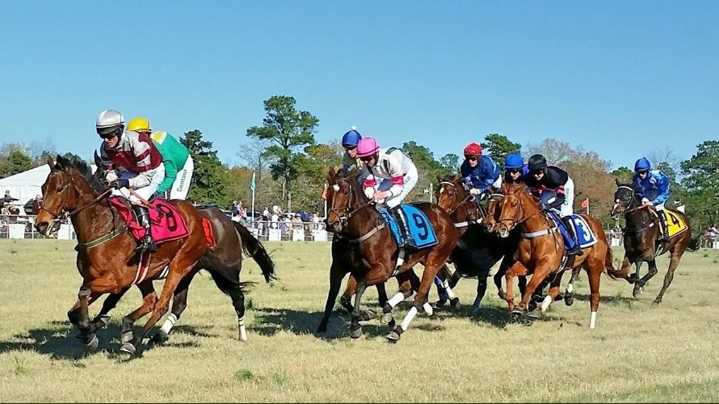 Camden gears up for the 50th Colonial Cup