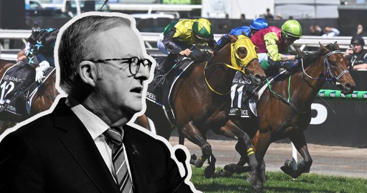 Crispin Hull | Australia's alarming gambling ad surge, mental health cost