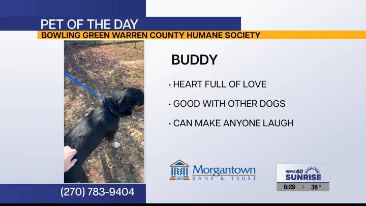Pet of the Day: Buddy