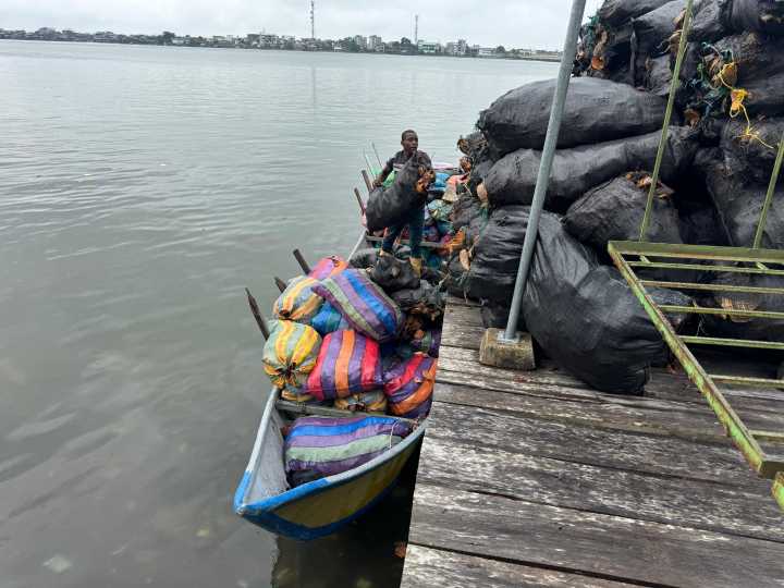 Coagropacífico, un ejemplo de bioeconomía y desarrollo comunitario en el Distrito de Tumaco