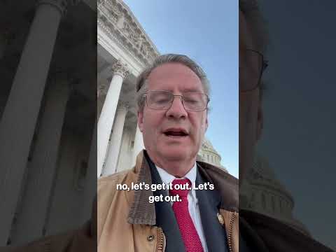 Republican Lawmaker Says Democrats Blocked GOP Efforts to Fast-Track Vote on Epstein Files #shorts