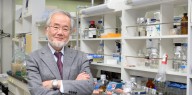 Qué es la autofagia celular y por qué fue clave para el Nobel de Yoshinori Ohsumi
