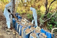 Dan golpe narco por 337 mdp en aseguramiento de drogas