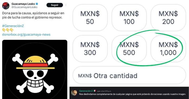 Falsa cuenta de Guacamaya Leaks pide donaciones a nombre de Generación Z México; movimiento se deslinda