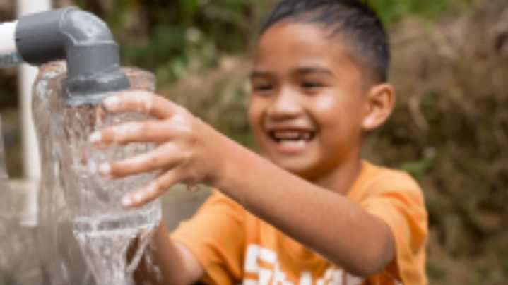 Searching the Forest for Puddles to Drink