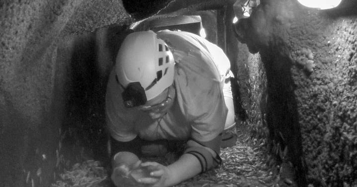 First look as I'm a Celebrity star Lisa Riley takes on 'misery' solo trial