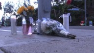 Luis Morales-Pacheco, 13, killed in Dana Point crash, hit-and-run driver Bradley Funk in custody for DUI, murder