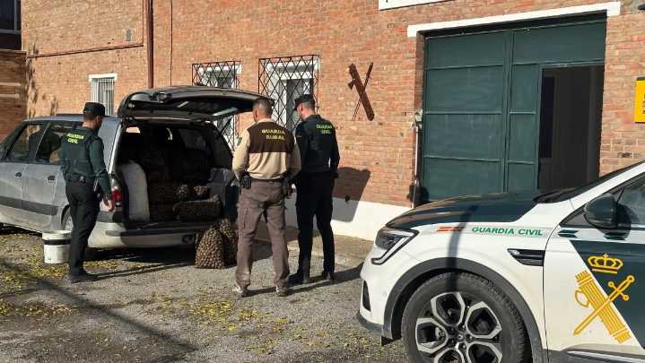 Cinco personas pilladas in fraganti cuando robaban 340 kilos de nueces en Belver de Cinca