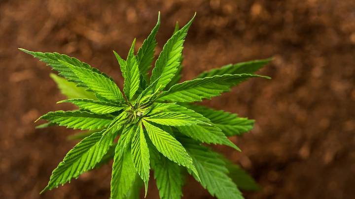 The week’s top comments from Tampabay.com