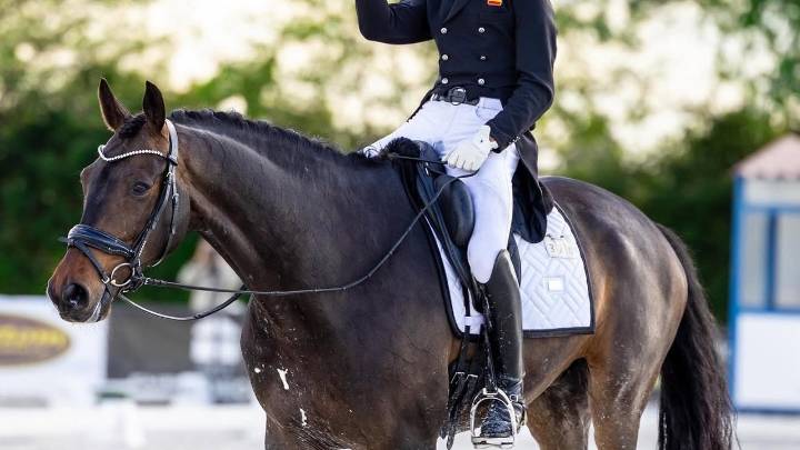 La hípica española, de luto: muere Adán Esterlich en una accidente de tráfico