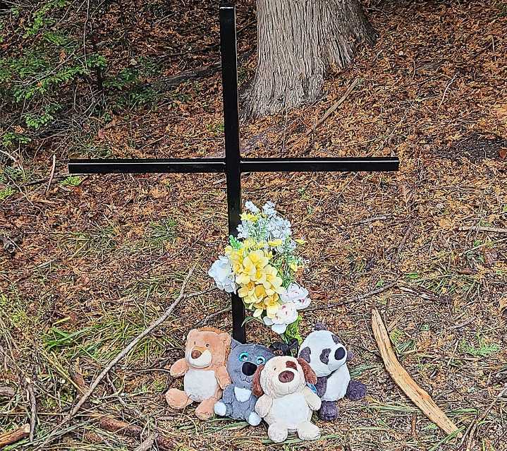 Hanover mayor says crash 'especially hard' after recent Walkerton loss