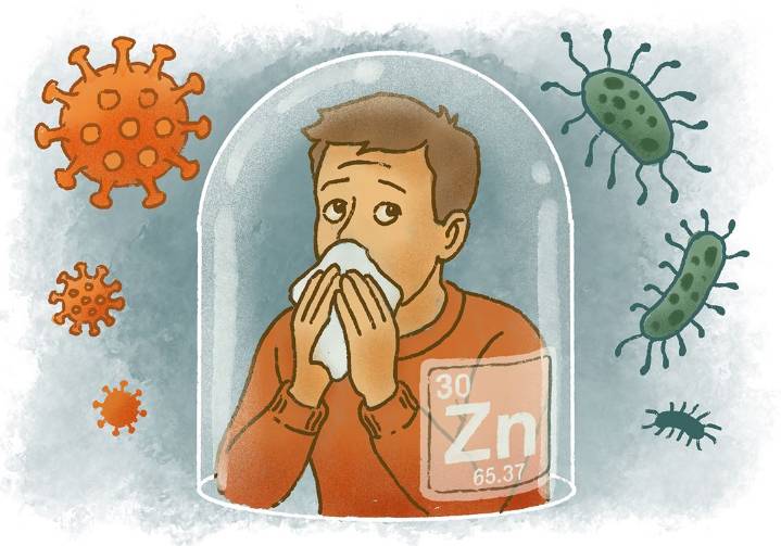 Does zinc actually help when you're sick?
