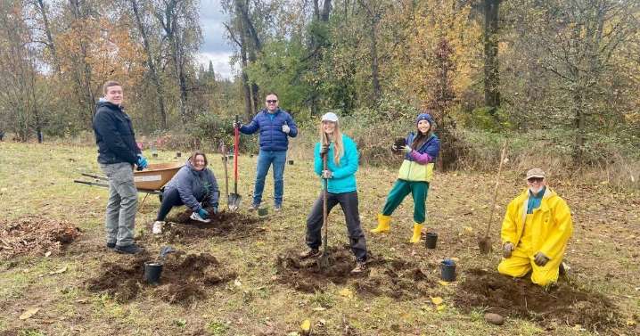 Eugene volunteers plant trees to honor troops on Veterans Day