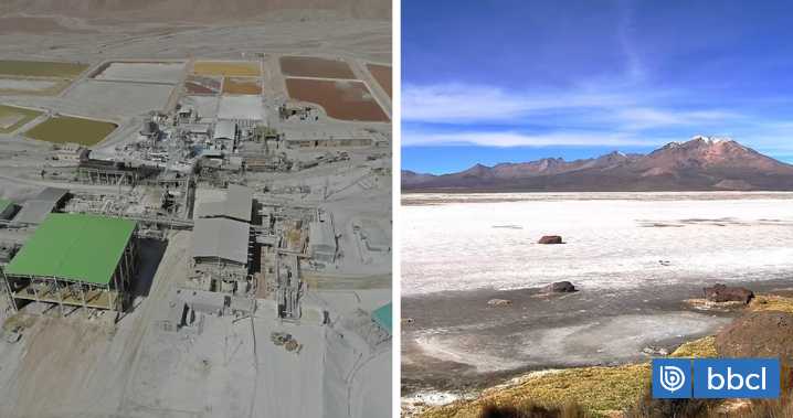 "No queremos un nuevo Huachipato": La trama que tiene entre las cuerdas a importante empresa de Arica