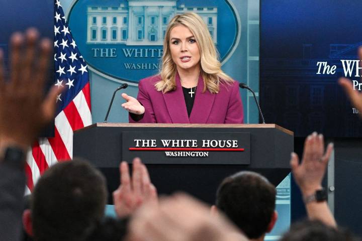 Mother of White House Press Secretary Karoline Leavitt’s Nephew Detained By ICE