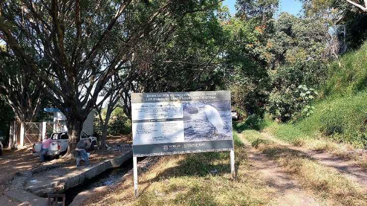 Los Sabinos-Santa Rosa-San Cristóbal, una zona ecológica que vale la pena proteger