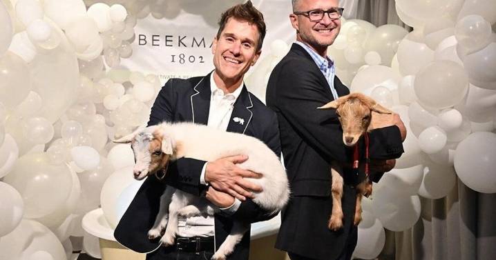 'There was no blueprint to follow': How 4 founders built businesses without industry experience