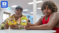 Game designed to save dying Aboriginal language wins global awards