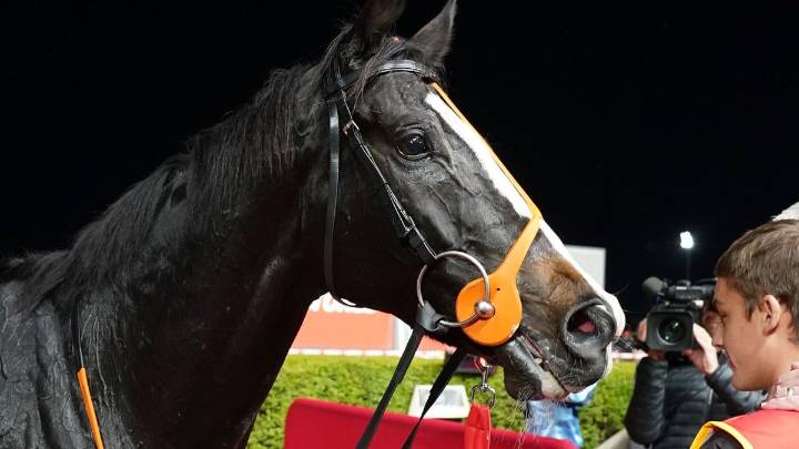 Melbourne Cup contender Onesmoothoperator cops weight penalty after ‘blitzing’ Gold Cup rivals