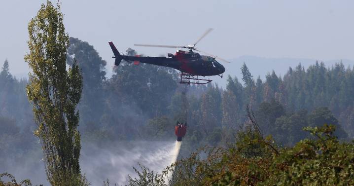 Por altas temperaturas y baja humedad: emiten alerta preventiva por amenaza de incendios forestales en dos regiones del país