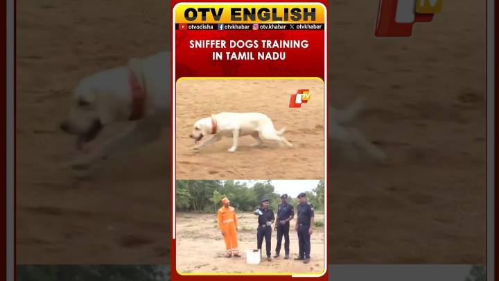 Training Programme For Sniffer Dogs At NDRF Training School To Locate Civilians Buried Under Debris