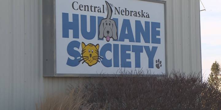 Jordan’s Way Bowl to support Central Nebraska Humane Society