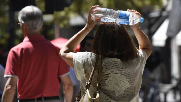 Después del "otoño tardío", ahora las hormigas anticipan un verano "muy caluroso"