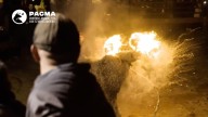 Los animalistas cargan contra el Toro Júbilo de Medinaceli: "Fuego fallido, organización desbordada y banderas franquistas"