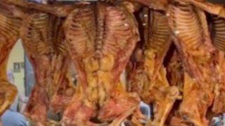 Escasearía cabrito para el Mundial 2026; enfrenta sector grave caída en producción