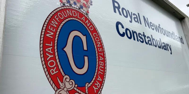 Police Arrest Woman Walking in Middle of Road