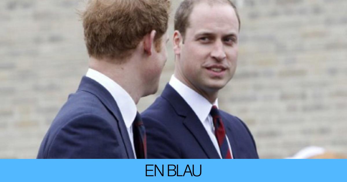 Harry acusa a su hermano, el príncipe Guillermo, de querer acabar con su padre